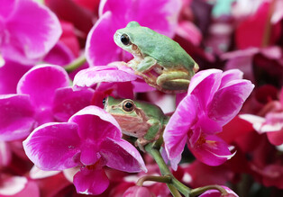 [Moment to Focus] Spring around corner
