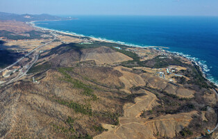 [Moment to Focus] One year after big forest fire