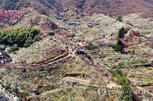 전남·경남 섬진강권 관광시대 연다…10일 광양서 선포식