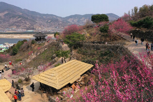 [K-Geography] Arrival of spring