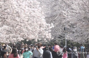 Changwon City to join hands with T-map for upcoming Jinhae Gunhangjae Festival