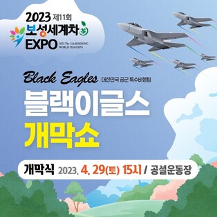 공군 블랙이글스, 보성세계차엑스포 개막 축하 비행