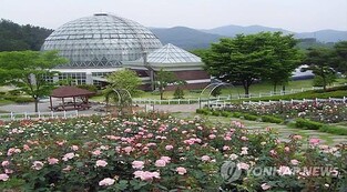 "충남산림연구소 최적지는 여기"…청양·태안·보령 유치전 후끈