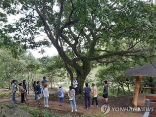 계룡시, 향적산 치유의 숲 14일 개장…치유프로그램 본격 운영