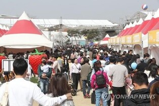Tourists teeming in every tourist attraction, mountain, and festival venue to feel spring in air