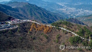 지리산 노고단 일주도로 통행 제한 전면 해제