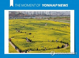 '넌 모르잖아, 알록달록한 부산'…봄꽃 여행 이벤트 풍성