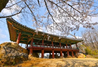 '관동팔경' 죽서루, 국보 승격 삼척시민 염원 뜨겁다