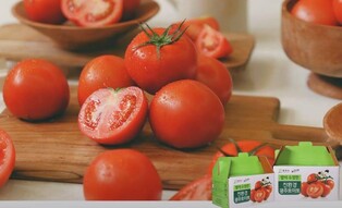 광주 퇴촌서 6월 'TO마토 MA음껏 TO게더' 토마토 축제