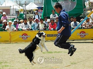 임실군 "하림에 펫푸드산업 투자 권유…오수농공단지 유치 노력"