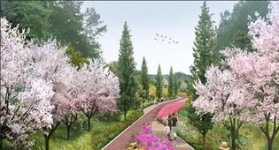 City of Wonju to transform abandoned railroad into 10.3 kilometers-long forest trail