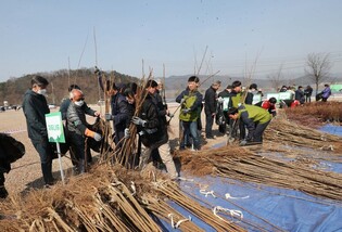 [Moment to Focus] Prep for Arbor Day