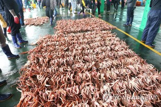 포항 '구룡포 대게축제' 4년 만에 돌아온다…24∼26일 개최