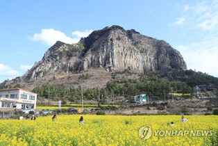 "제주 관광 경기 한눈에"…관광산업 생산지수 개발 추진