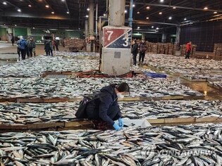 Value of Japanese seafood imports hits 12-year high in 2022