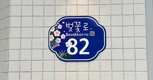 창원 진해구 벚꽃로에 사시사철 벚꽃이…자율형 건물번호판 설치