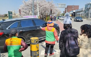 Cheongju Musimcheon Cherry Blossom Road is crowded with visitors