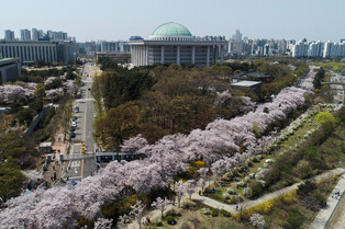 [Hallyupedia] Beotkkot