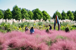 태안군, 한국관광공사와 청산수목원 육성 '맞손'