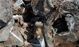 S. Korea identifies remains of another Korean War soldier