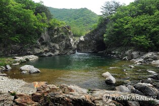 양구군, 내달 1일부터 두타연 개방…당일 관광 신청도 가능