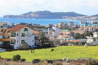 "수도권, 60대 이상, 고소득자일수록 제주 한달살이 선호"