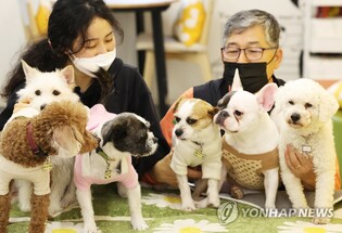반려동물 약시장 키운다…"인체용 제약시설 활용 허용"