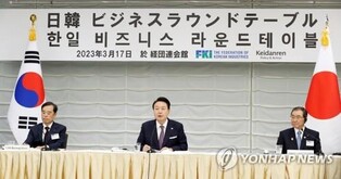 Japan's chip export curbs to have limited impact on S. Korea: industry ministry
