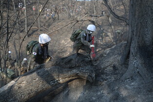 [Moment to Focus] Wildfire in Seoul