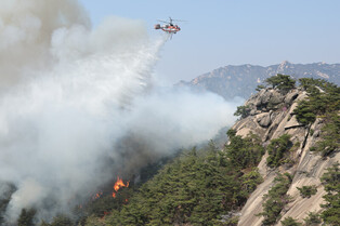 [Moment to Focus] Forest fire in Seoul