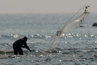 [Moment to Focus] Fishing gray mullet