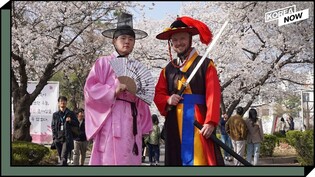 A walk through some Seoul hotspots as tourism’s in bloom again