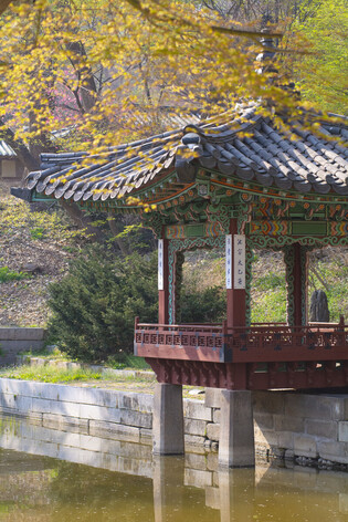 [K-Geography] Photos of Secret Garden of Changdeokgung Palace in spring