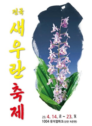 "새우알 아닌 고귀한 향 지닌 자생란"…신안군, 새우란 축제