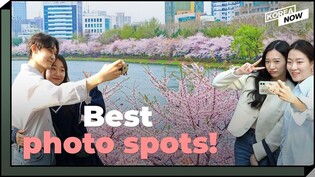 A day chasing cherry blossoms in Seoul