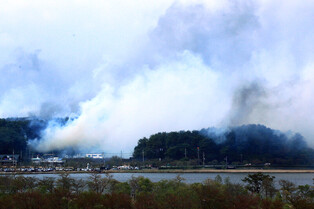 [Moment to Focus] Wildfire in northeast S.Korea