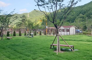 태백 반려동물 놀이터 15일부터 재개장