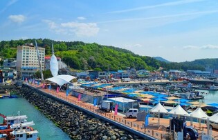 강진 마량 놀토수산시장, 매주 토요일 열린다