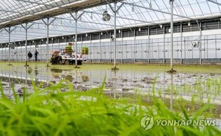 Number of foreign farming workers spikes in Q1 amid eased virus curbs