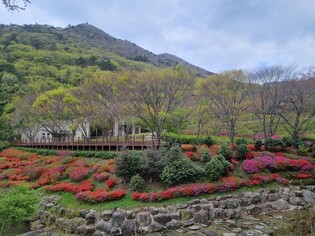 해남 흑석산휴양림 힐링휴양지 각광…숲치유 프로그램 운영