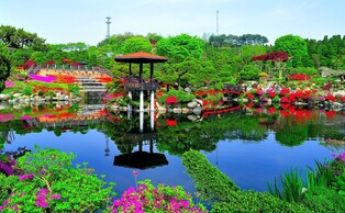 "세종으로 꽃구경 오세요"…철쭉제·가든쇼 등 봄꽃 축제 풍성