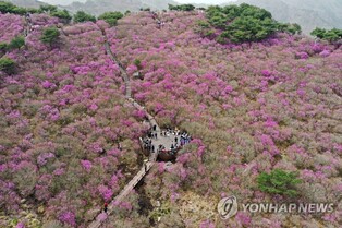 S. Korea's new COVID-19 cases below 10,000 amid eased virus curbs