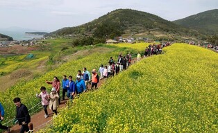 완도 청산도 슬로걷기 축제 성황…2주 만에 3만여 명 다녀가
