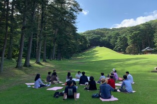 조선왕릉 걸으며 떠나는 6가지 여행…내달 13일부터 '왕릉천행'