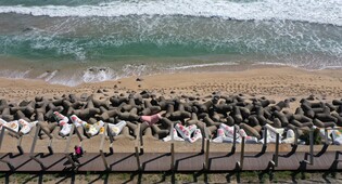 '알록달록 꽃무늬' 동해시 한섬해변 테트라포드 눈길