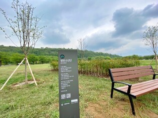 BTS forest at Nanji Hangang Park in Seoul