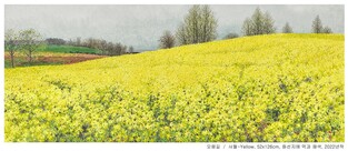 "전통 기본으로 서양 감각 받아들인 그림"…오용길 수묵풍경화展