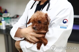 반려동물 판매업 '허가제' 전환…무허가 영업자 최대 2년 징역