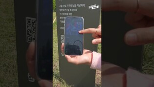 'BTS Forest' in Seoul's Han River Park!