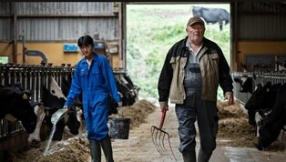 덴마크 시골 풍경이 왜 슬플까…해외입양 영화 '조용한 이주'